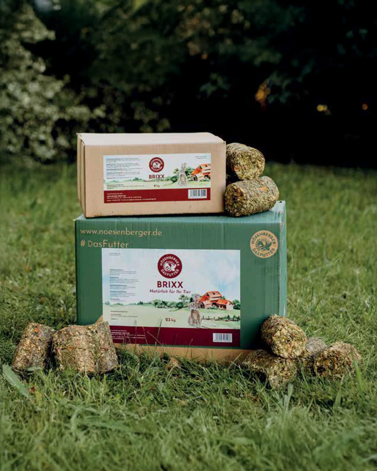 Brixx – brikettiertes Natur-Struktur-Müsli mit Luzernestängeln