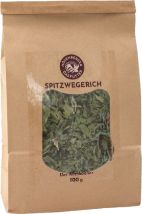 Spitzwegerich für Kaninchen von Nösenberger