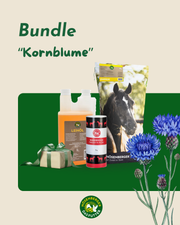 Sommer-Bundle "Kornblume"