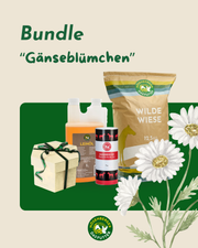 Sommer-Bundle "Gänseblümchen"