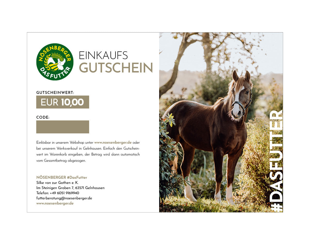 Geschenkgutschein Pferd