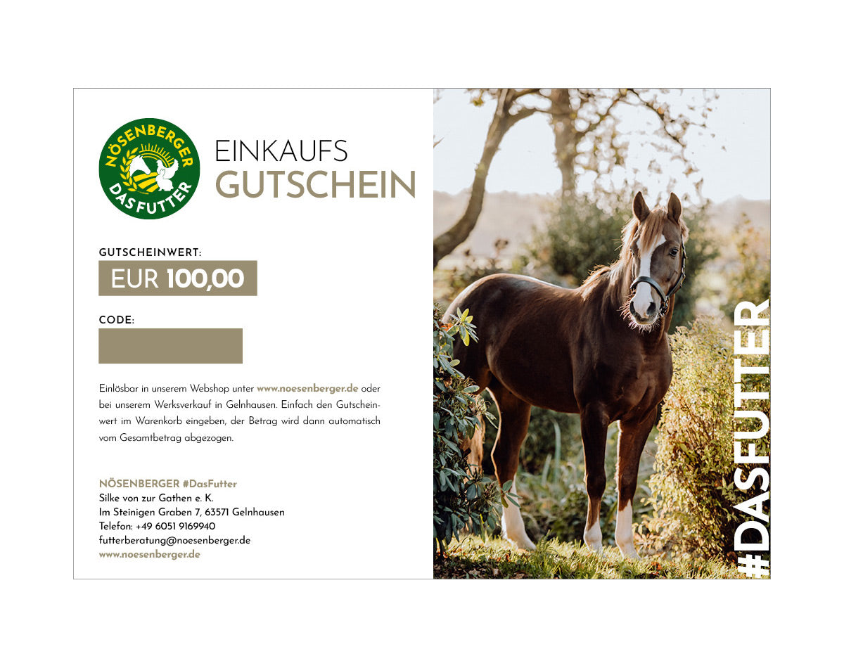 Geschenkgutschein Pferd