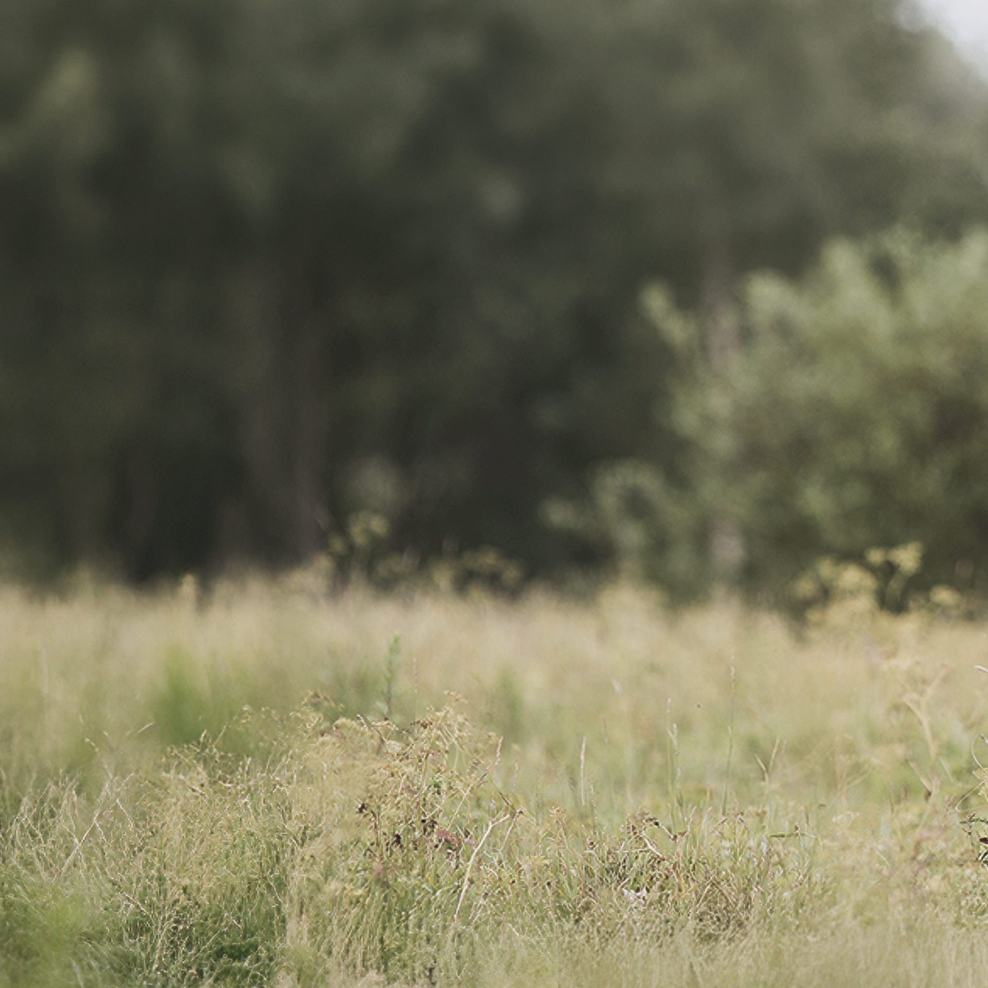 Nösenberger #DasFutter