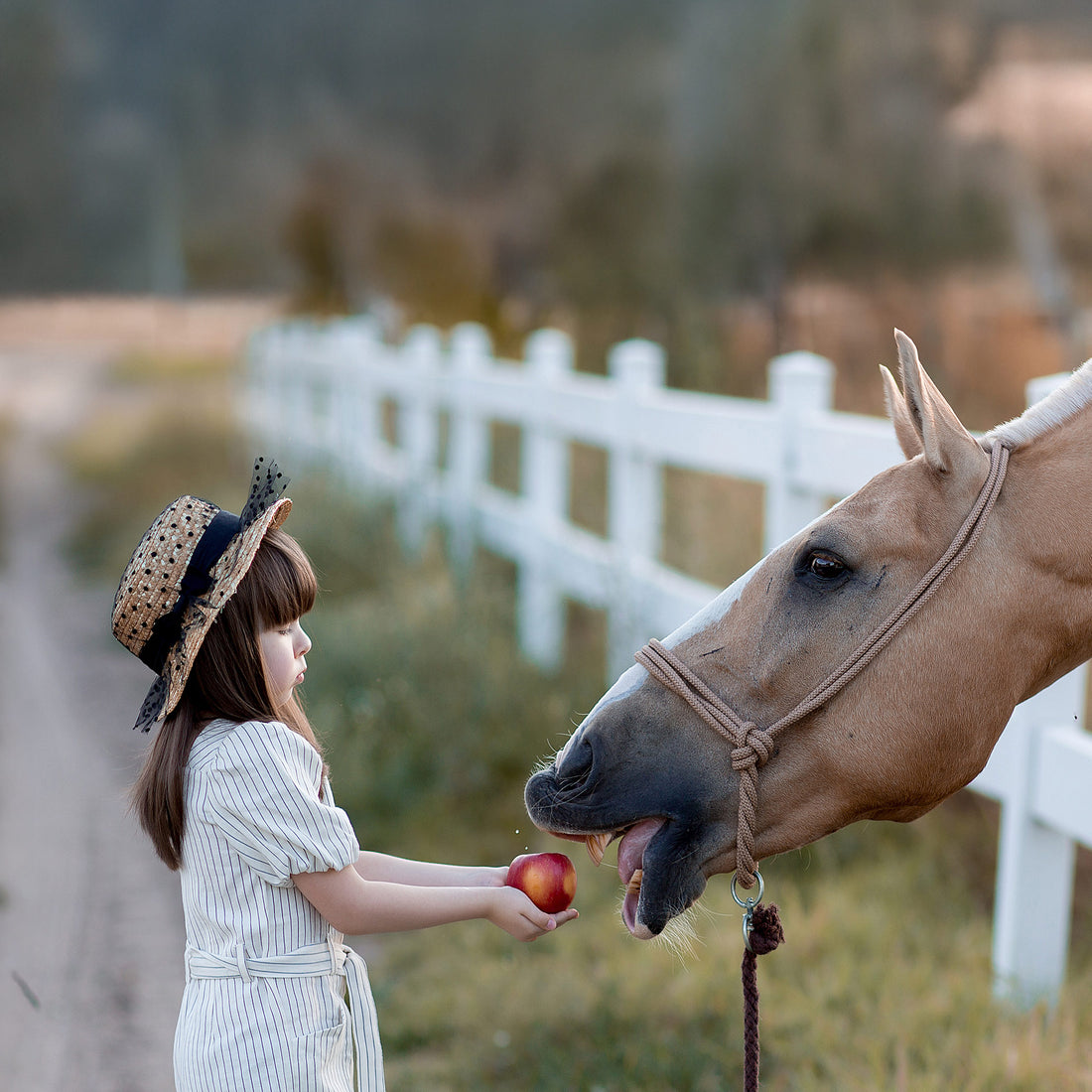 Handverlesene Inhaltsstoffe