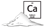 <strong>Calcium – wichtig für Muskeln und Nerven</strong>