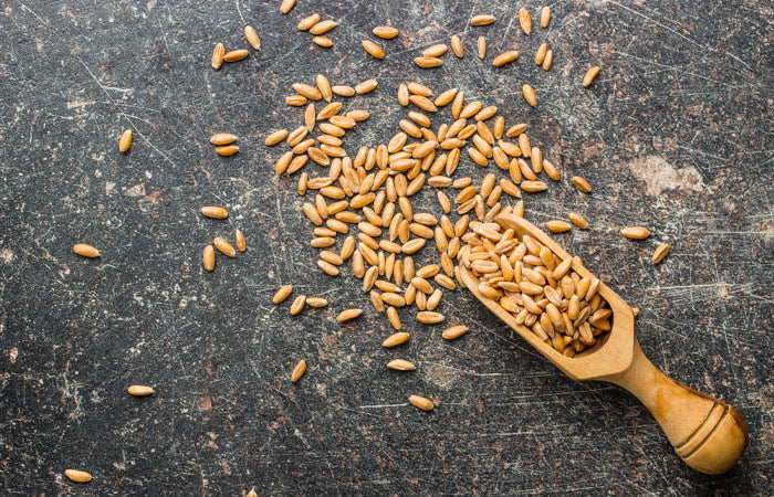 Dinkel – hochwertiges Urgetreide für eine gesunde Verdauung