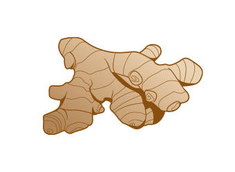 <strong>Ingwer – natürliche Gelenkunterstützung</strong>