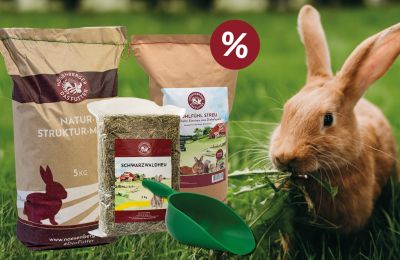 Kaninchen Starter Paket S
