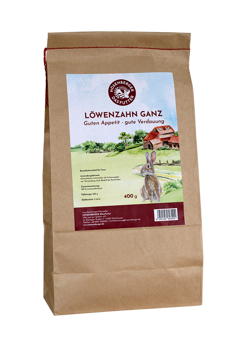 Löwenzahn für Kaninchen