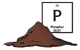 <strong>Phosphor – Energie und Knochengesundheit</strong>