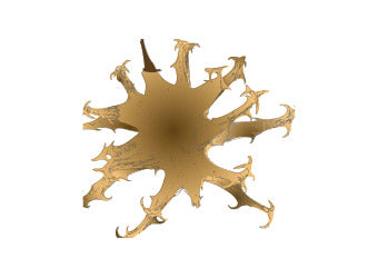 <strong>Teufelskralle – bei Arthrose & Gelenkschmerzen</strong>