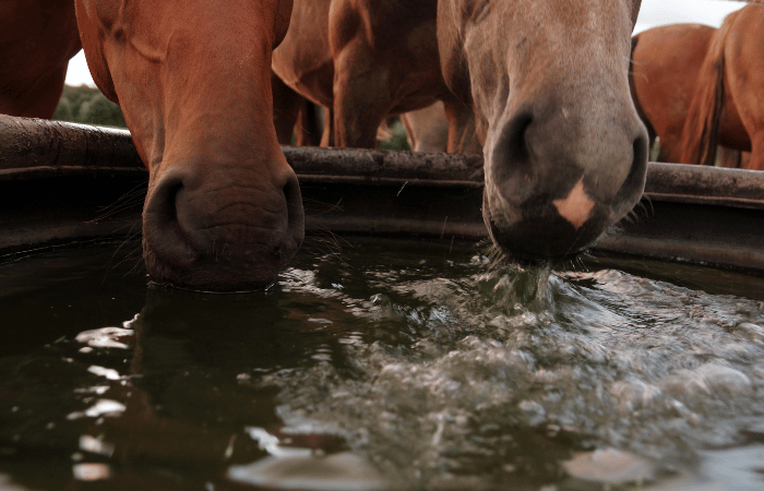 Wasser – worauf unbedingt zu achten ist
