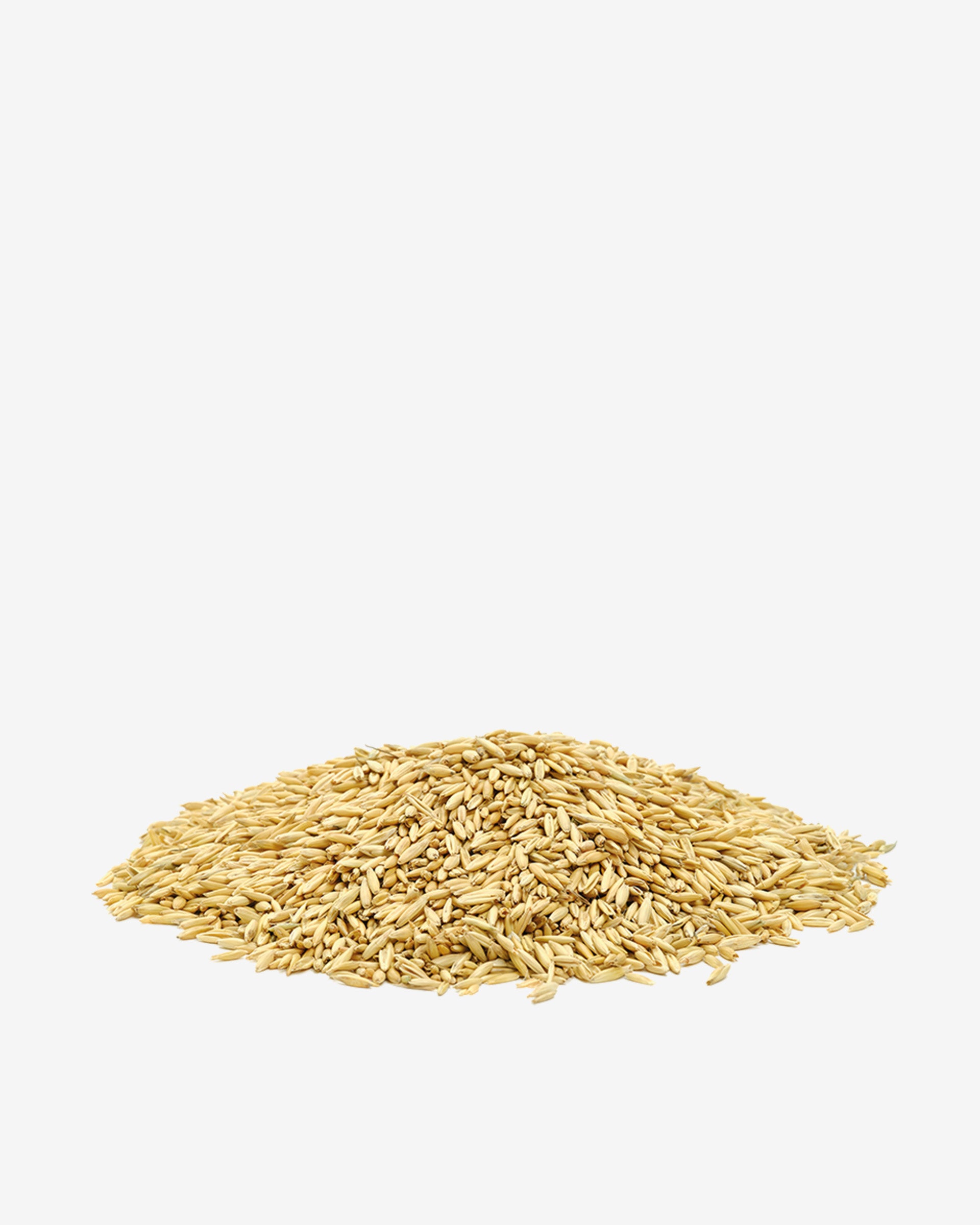 Wetterauer Landhafer